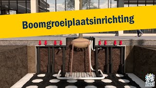 Watermanagement In De Stad Boombunkers