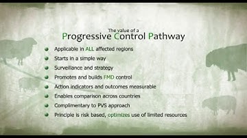 The PCP-FMD. Progressive Control Pathway