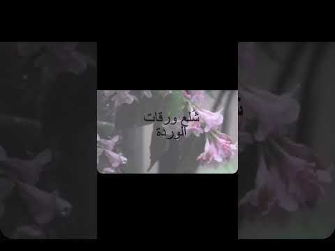 لا تروحي رح تتلج بعدك خليكي لليلة عندي