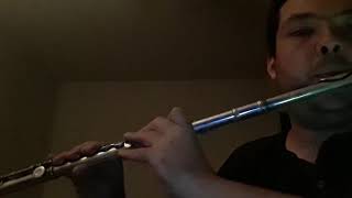 Oceans  Hillsong oceanos Cover On The Flute