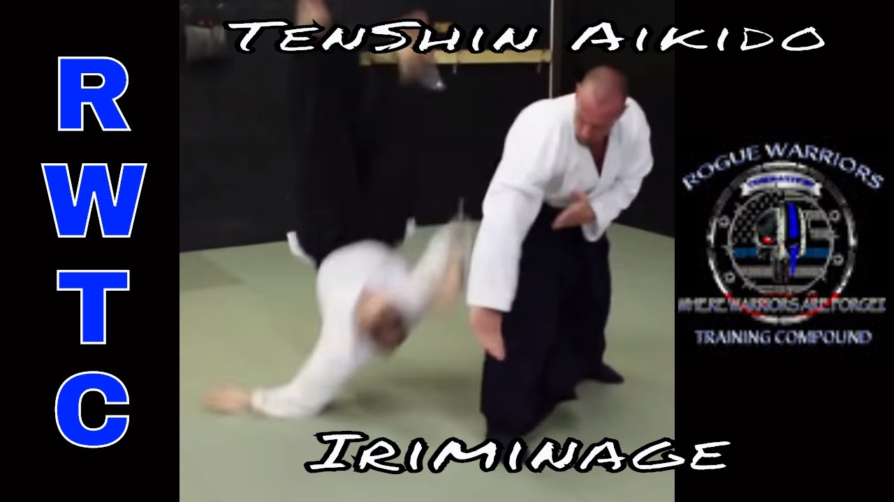 Айкидо - образ Стивена Сигала