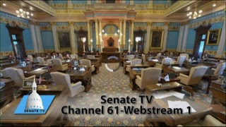 WZZM 13 Live Stream