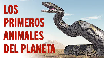 ¿Cuál fue la primera mascota de la Tierra?