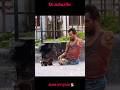please save voiceless kids 🐕❤️🐕#streetpuppies💞🐕💞#straypuppies 🐕🥹🐕❤️#emptystomach😭🐕❤️🙏