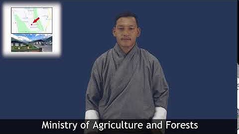 Ministry of Agriculture and Forests
