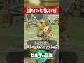 通り魔すぎる悪魔のバカ主人公『ゼルダの伝説ティアーズオブザキングダム』 #shots
