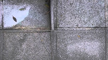 The Tile (Experimental Work)