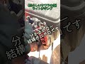 【取扱注意⚠️】サワラの歯がどれだけ危険かわかります