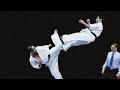 Unbelievable Karate Knockouts | Professionals vs Beginners