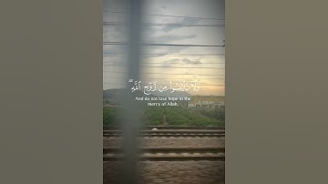 ولا تيأسوا من روح الله #خالد_الجليل #قرآن #قران_كريم #راحة_نفسية #تلاوة_خاشعة #اكسبلور #explore