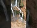 الحمد لله الذى فضلنا على كثير من عباده المؤمنين اللهم إنى أعوذ بك من علم لا ينفع الشيخ الشعراوى الحمد لله الذى فضلنا على كثير من عباده المؤمنين اللهم إنى أعوذ بك من علم لا ينفع الشيخ الشعراوى