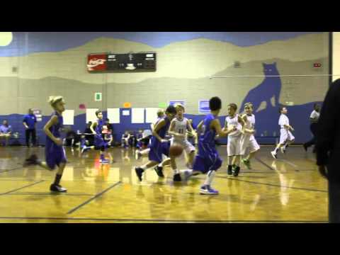 johnston Vs Bascomb