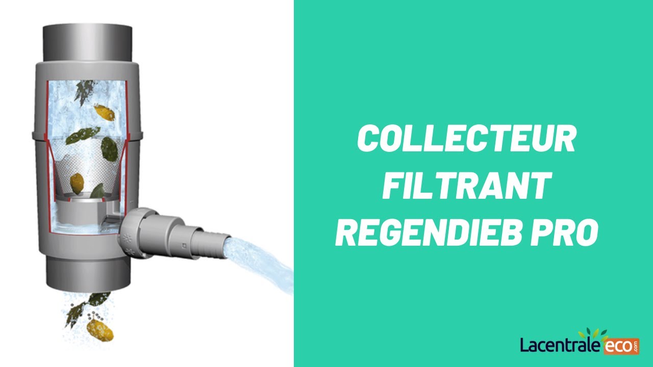 Tonneau de pluie ingélif avec couvercle - pour recueillir l'eau de pluie Tonneau de pluie ingélif avec couvercle - pour recueillir l'eau de pluie