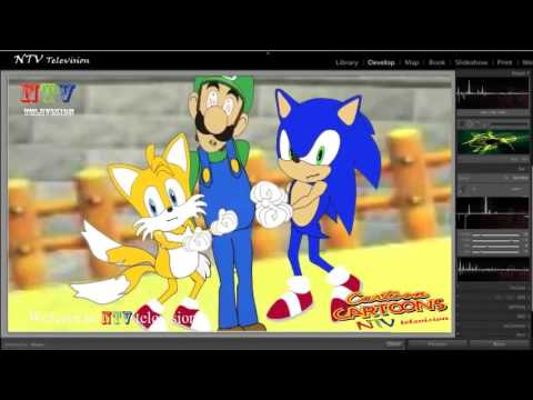 MARIO and LUIGI vs SONIC and TAILS! Cartoon Fight Club Episode 3