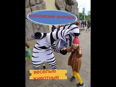 Video: Jinsi Zoo Ya Moscow Inafanya Kazi