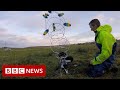 New video by BBC News on YouTube