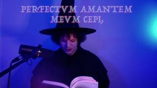 VIII. Latin Magick Love Spell - To Find a Perfect Lover