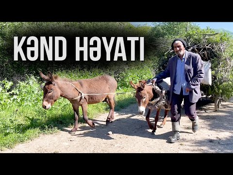 Kənd həyatı /  Kənd abu-havası / Qazax rayonu Kəmərli kəndi | Nail Kəmərli