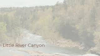 Little River Canyon - Jonan Phillip Donaldson