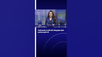Indonesia ra mắt nền tảng giao dịch carbon quốc tế | VTVIndex