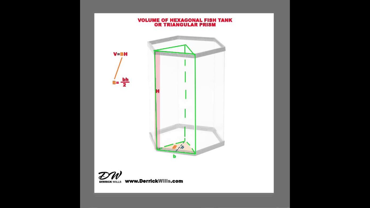 Hexagon Fish Tank Size Chart