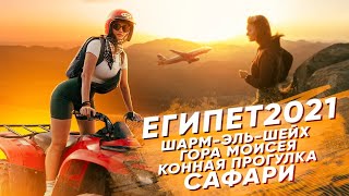 Египет 2021 Шарм- эль- Шейх Гора Моисея, Конная прогулка, Сафари Египет 2021 Шарм- эль- Шейх Гора Моисея, Конная прогулка, Сафари