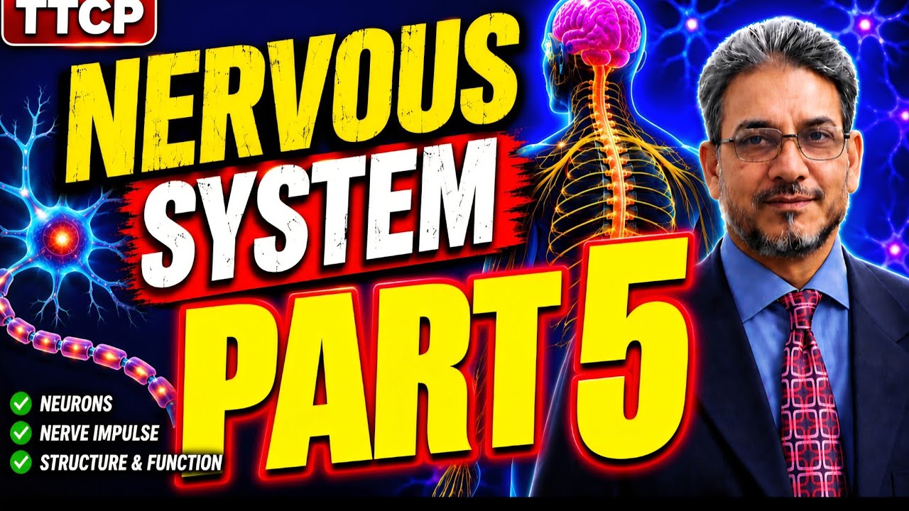 NERVOUS SYSTEM: PART 5 - YouTube