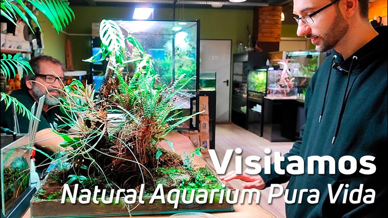 Un Recorrido por Natural Aquarium Pura Vida | Tienda de Acuariofilia 🐠🌿