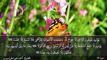 الصفحة 319 سورة طه بصوت القارئ المهندس أحمد فايز الحراسيس