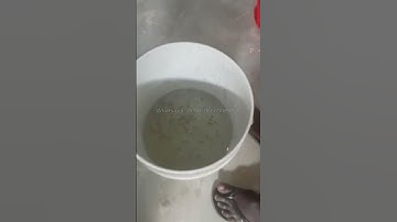 Customer feedback for fish feed making machine #fishfarm #fishfeed #fishfeedmachine