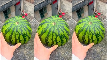 Experiment: Will watermelons and cantaloupes explode if they roll down from a tall building?