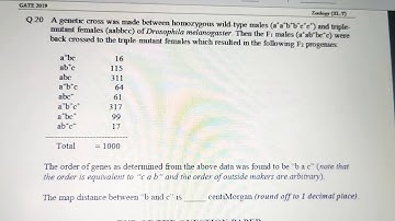 Order of gene, distance calculation in double cross