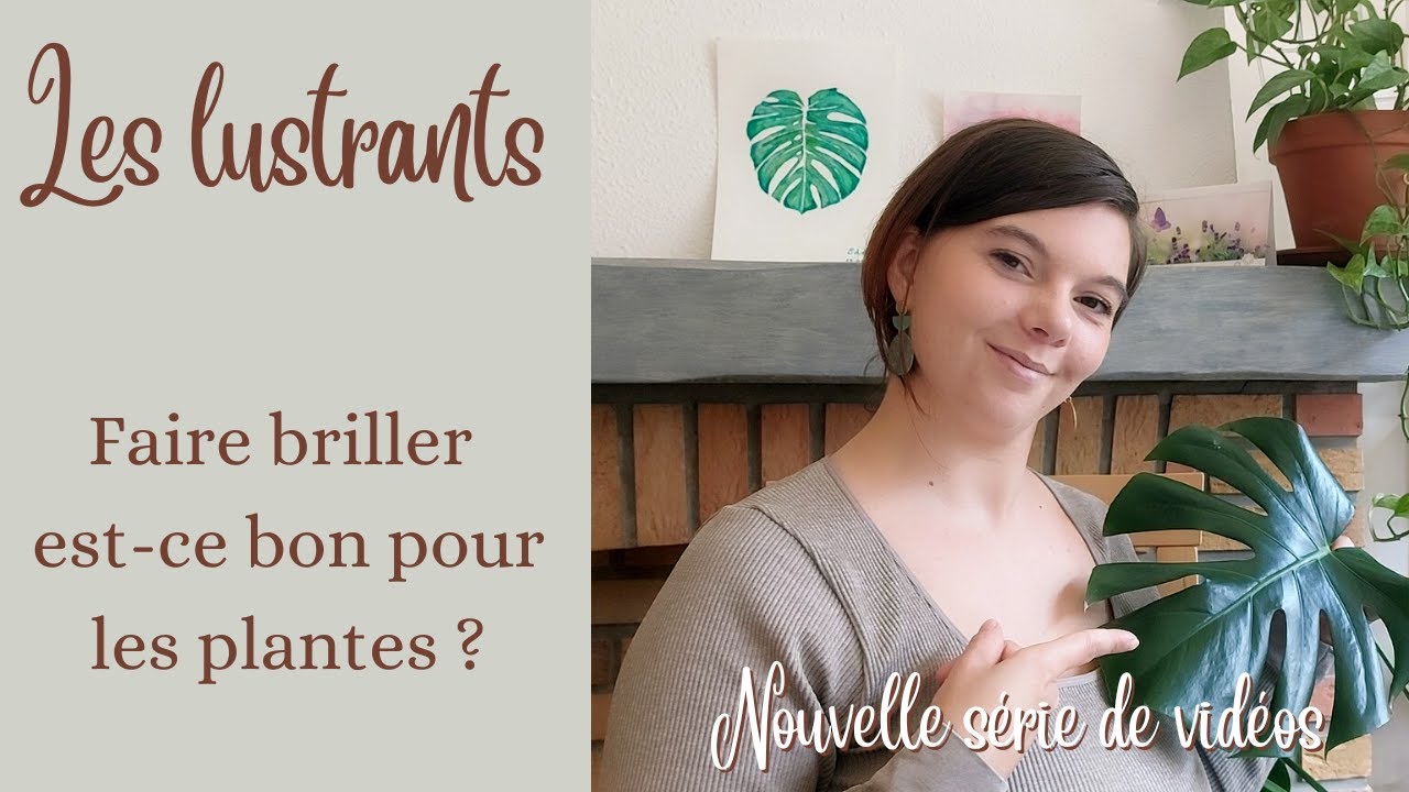 Les lustrants : faire briller les feuilles....bon ou mauvais ?  + annonce nouvelle série de vidéo 🎬