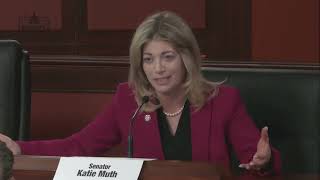 Sen. Muth Raises Concerns about Proposed Data Centers at Senate Hearing
