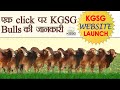 एक क्लिक पर KGSG के सभी बुल्स की जानकारी मिलेगी | KGSG Website Launch | KGSG Sire Directory |