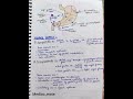 Stomach notes🩺 #mbbs #anatomy #anatomy #bams #trending #bhms #nursing #ayurveda