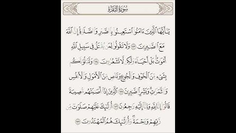 سورة البقرة | الآية 153 - 157 | #القرآن_الكريم #القرآن #ياسر_الدوسري #ماهرالمعيقلي #quran
