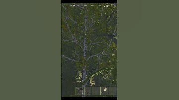 The Average Rust Experience...