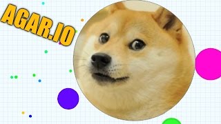 Agario The Rise Of Doge - Very Mistake Much Fail Agar.io