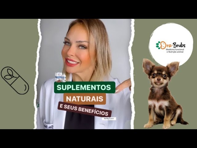 SUPLEMENTO NUTRAFASES E SEUS BENEFÍCIOS PARA CÃES