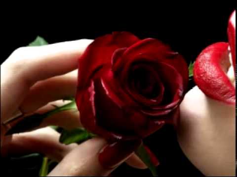 tantra kbh mama rosa ikast tantra kbh mama rosa ikast