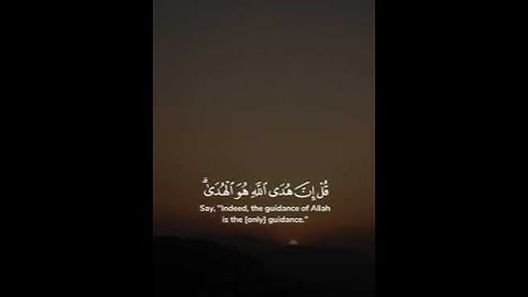 تلاوة هادئة للقارئ عبدالرحمن ناجي محاكاي اللحيدان لسورة البقرة #عبدالرحمن_ناجي #تلاوة_خاشعة