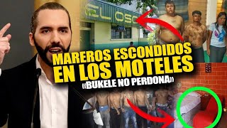 😱 INCREIBLE Marer0s SE ESCONDIAN EN M0TELES de El Salvador y Bukele los manda a capturar AHORITA