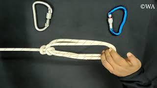 French bowline | Essential Knots | Learn knot in 30 Seconds