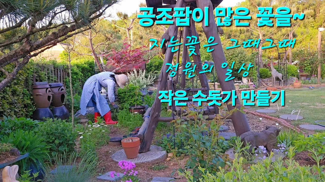 5월 봄날이 추워요,공조팝이 많은 꽃을 피웠어요,지는 꽃은 그때그때 잘라줘야 해요,작은 수돗가 만들기,정원의 일상,