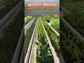 Agricultural Engineering #agriculture #agriculturelife #agriculturetechnology #admissionsopen