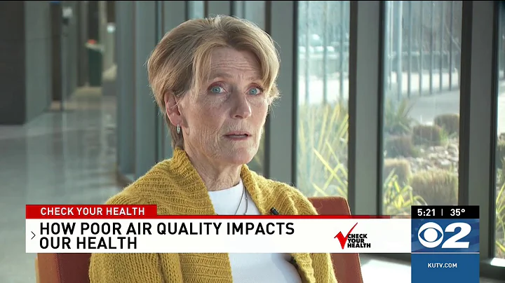 Check Your Health   The impact of poor air quality on our health and how to prevent it