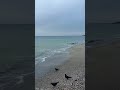 Odessa 01.04.2026 #sea #seaview #beach #odessa