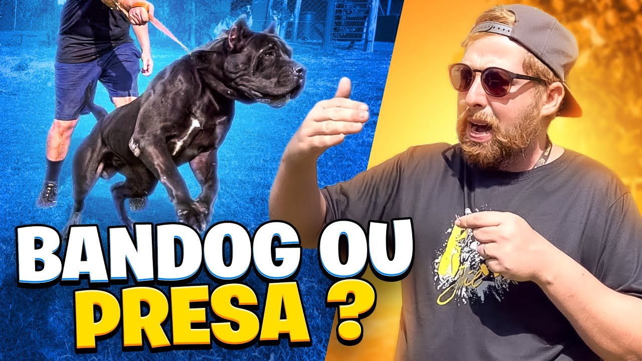 QUAL A DIFERENÇA DO PRESA ? É UM BANDOG ?