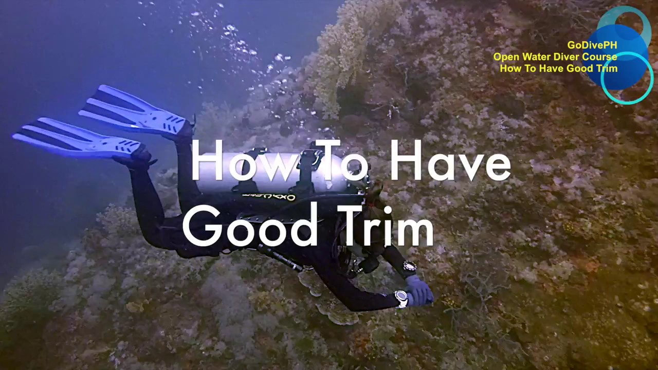 How To Have Good Trim while Scuba Diving YouTube